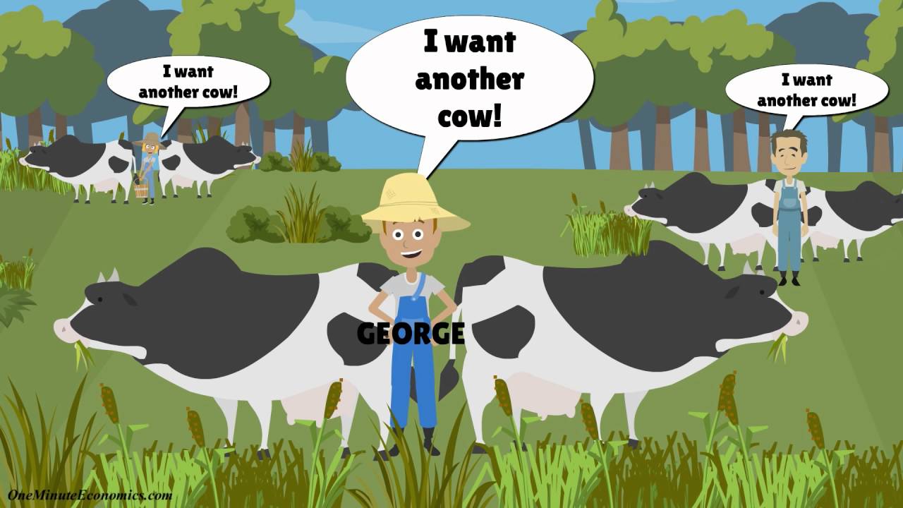 Attitude Behaviour Gap